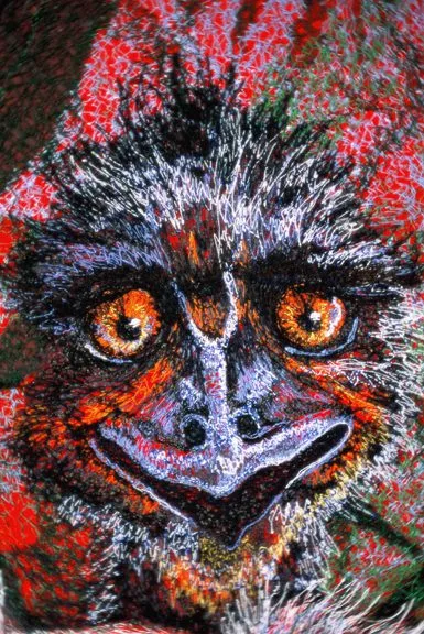 15 Emu 50x40cm Embroidery Cheryl Bridgart